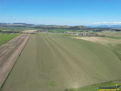 Parcela de teren 503 mp, Bod - Sanpetru - foto 2
