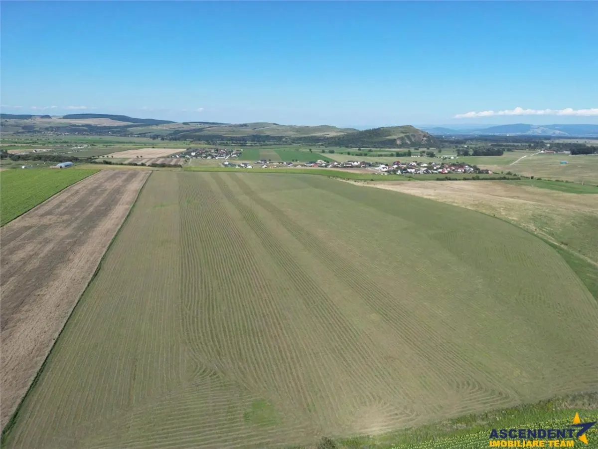 Parcela de teren 503 mp, Bod - Sanpetru - foto 2