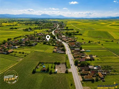 FILM! 2.700mp teren cu casa personalizabila, pomi fructiferi,langa Sfantu Gheorghe: Santionlunca - foto 3