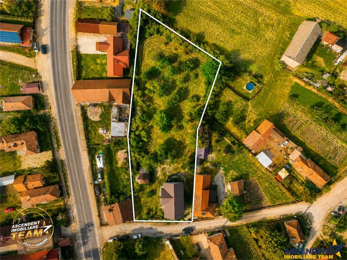 FILM! 2.700mp teren cu casa personalizabila, pomi fructiferi,langa Sfantu Gheorghe: Santionlunca - foto 4