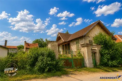 FILM! 2.700mp teren cu casa personalizabila, pomi fructiferi,langa Sfantu Gheorghe: Santionlunca - foto 5