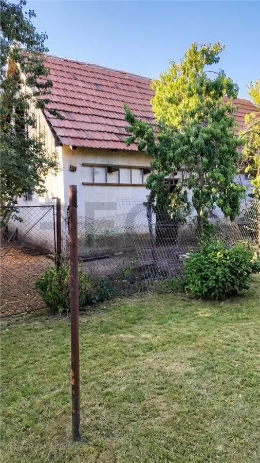 RECO Casa cu teren 3.066 m² de vânzare în Livada de Bihor - foto 3