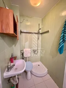 Garsoniera de inchiriat, petfriendly, zona Garii, Timisoara - foto 6