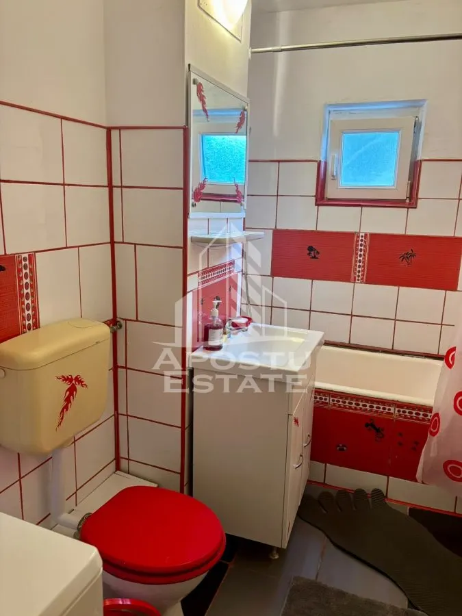 Apartament cu 3 camere , de inchiriat , zona Aradului , Timisoara - foto 10