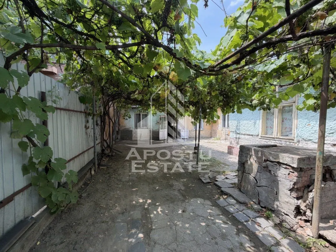 Casa de vanzare,  teren 225 mp, zona Fratelia, Bujorilor, Timisoara - foto 11