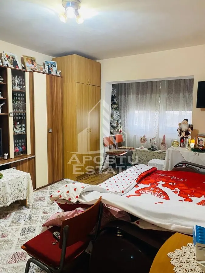 Apartament cu 1 camera,decomandat, centrala proprie,Buziasului - foto 1