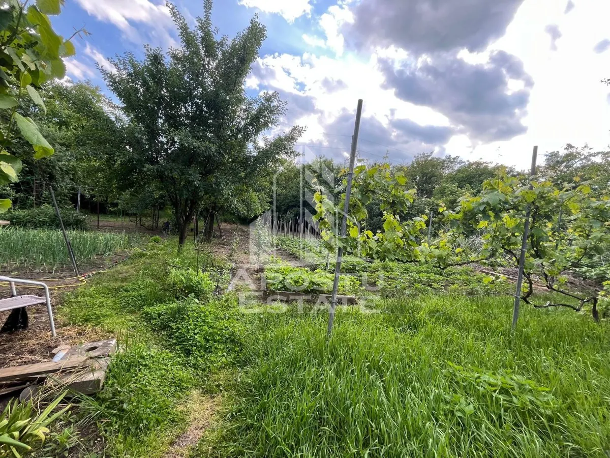 Casa individuala,3 camere, 2 bai, acces auto, garaj,teren 3182 mp - foto 12