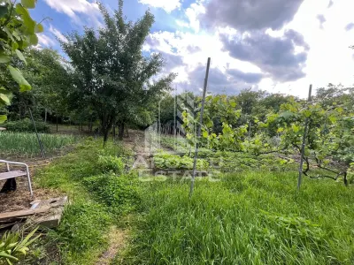 Casa individuala,3 camere, 2 bai, acces auto, garaj,teren 3182 mp - foto 19