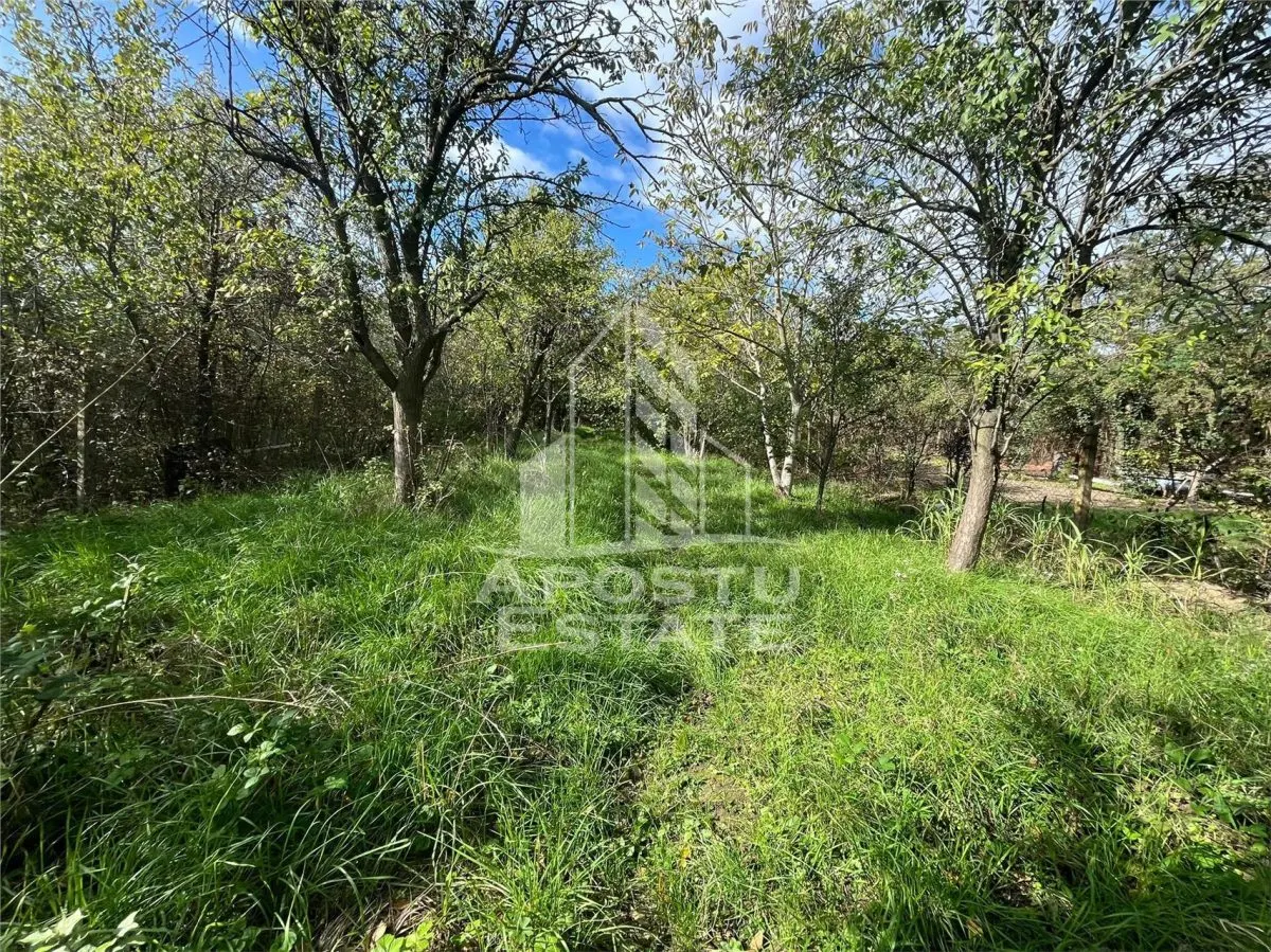 Casa cu 4 camere si teren de 2698 mp in zona Freidorf - foto 10