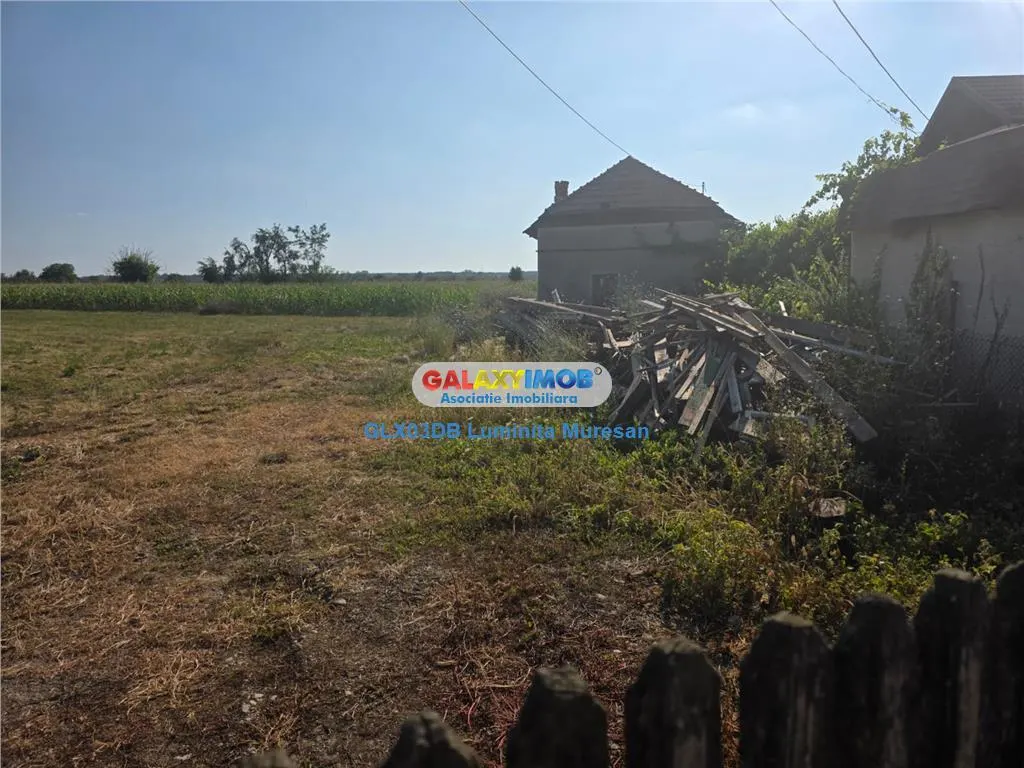 Vanzare teren intravilan Dragomiresti - foto 2
