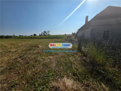 Vanzare teren intravilan Dragomiresti - foto 5
