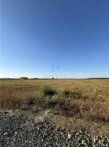 Teren - Mosnita Veche - Investitie - 652 mp - foto 2