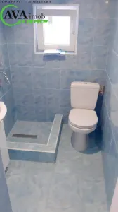 Proprietate ideala pentru familie extinsa sau investitie â€“ Serbanesti, Bacau - foto 20