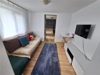 Proprietate ideala pentru familie extinsa sau investitie â€“ Serbanesti, Bacau - foto 3