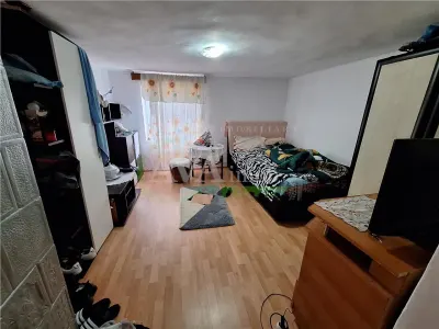 Proprietate ideala pentru familie extinsa sau investitie â€“ Serbanesti, Bacau - foto 6