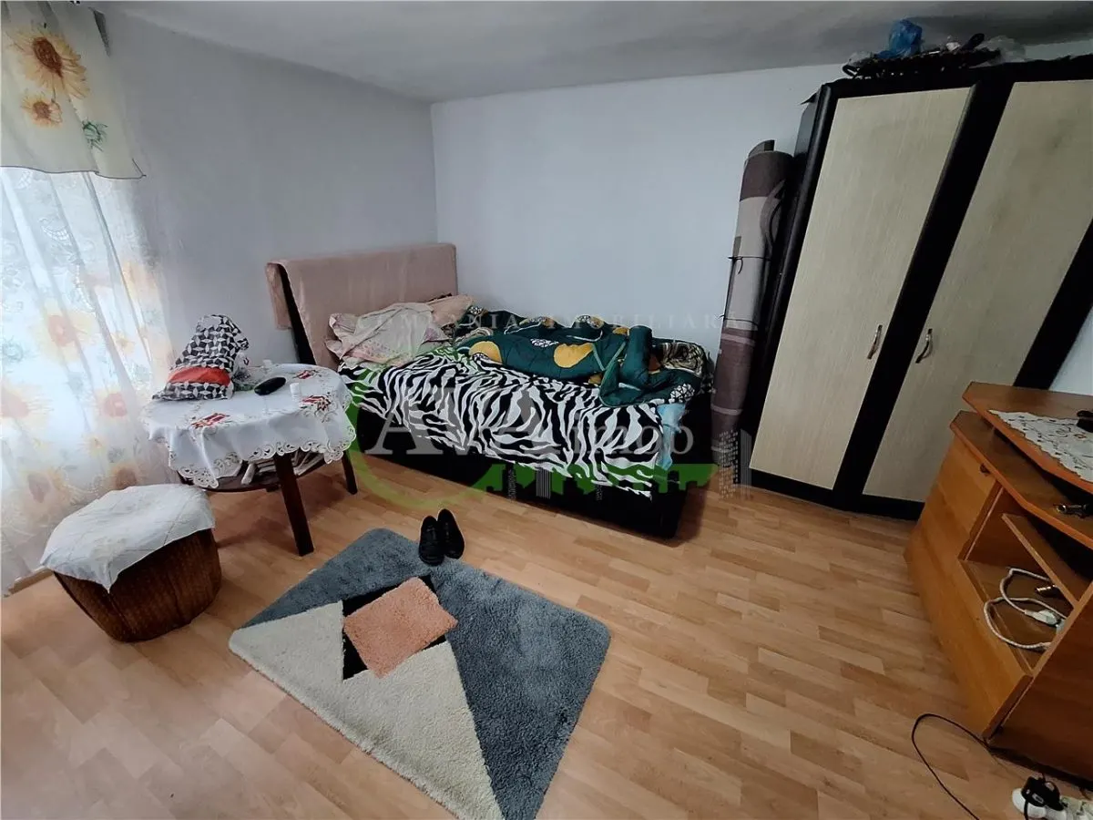 Proprietate ideala pentru familie extinsa sau investitie â€“ Serbanesti, Bacau - foto 7