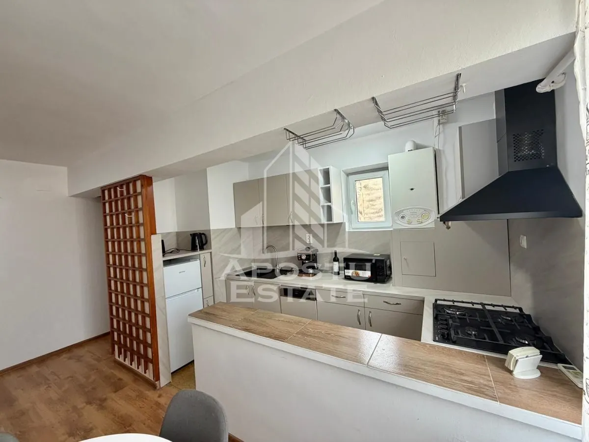 Apartament cu 3 camere, de inchiriat, Piata Unirii, Timisoara - foto 6