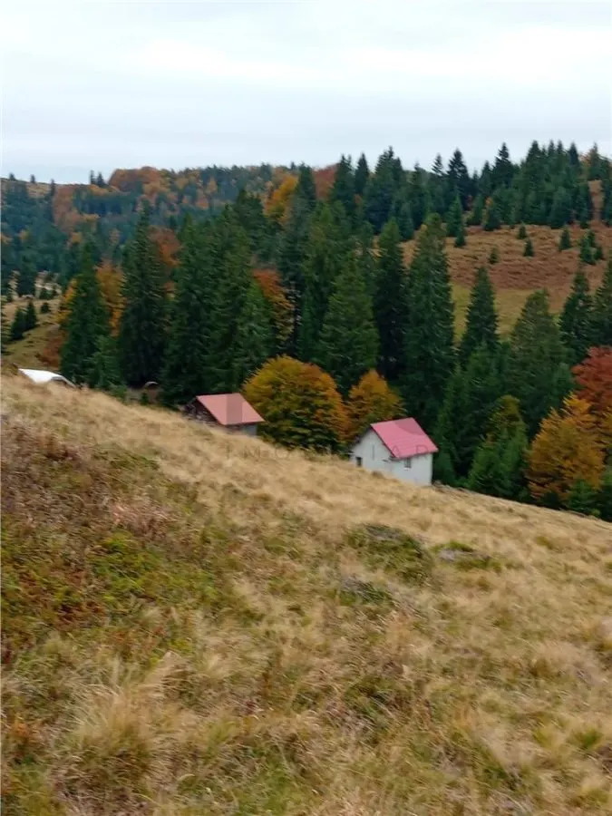 RECO Teren extravilan la Cresuia, Stana de Vale - foto 1