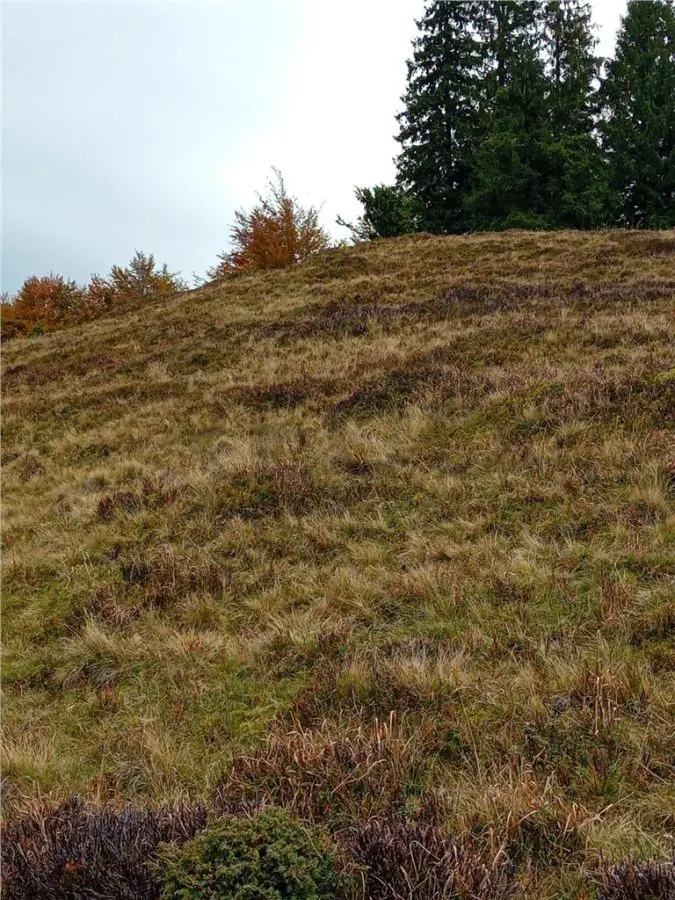 RECO Teren extravilan la Cresuia, Stana de Vale - foto 2