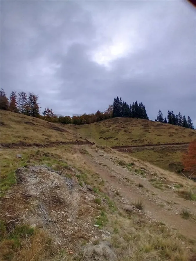 RECO Teren extravilan la Cresuia, Stana de Vale - foto 11