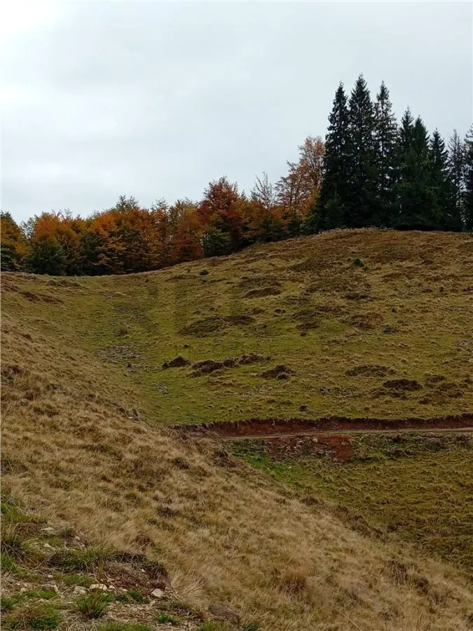 RECO Teren extravilan la Cresuia, Stana de Vale - foto 13