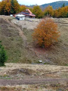 RECO Teren extravilan la Cresuia, Stana de Vale - foto 4