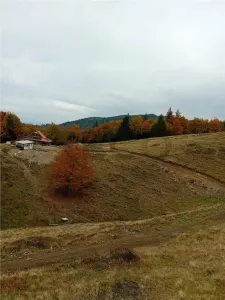 RECO Teren extravilan la Cresuia, Stana de Vale - foto 5