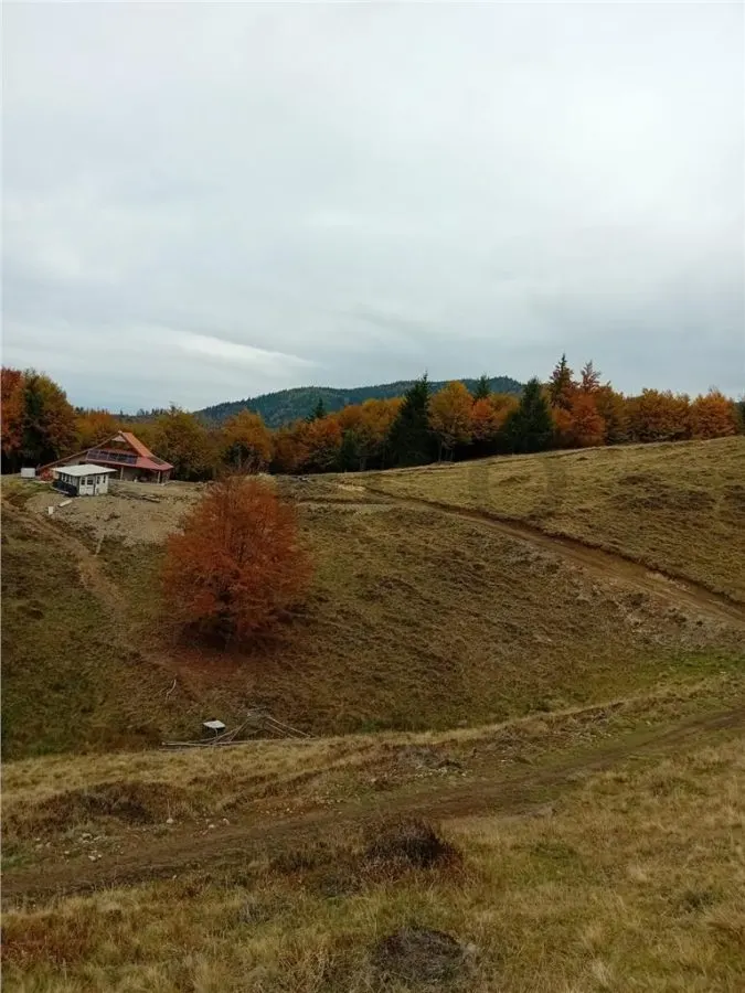 RECO Teren extravilan la Cresuia, Stana de Vale - foto 5