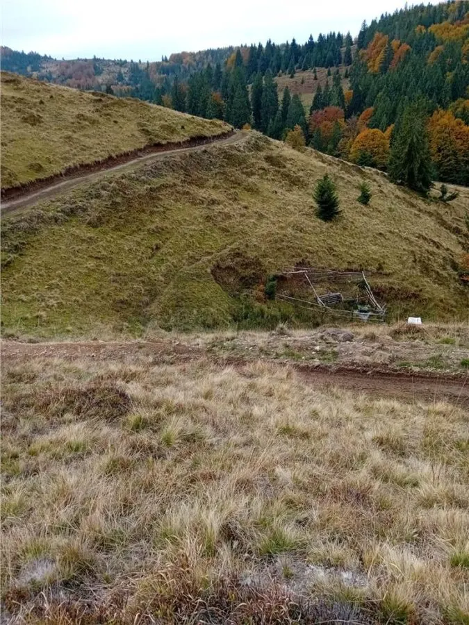 RECO Teren extravilan la Cresuia, Stana de Vale - foto 6