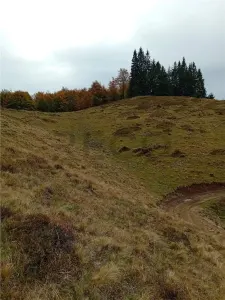 RECO Teren extravilan la Cresuia, Stana de Vale - foto 7