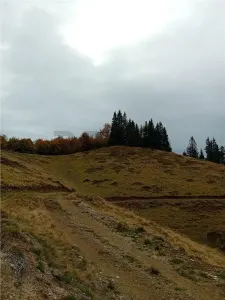 RECO Teren extravilan la Cresuia, Stana de Vale - foto 8