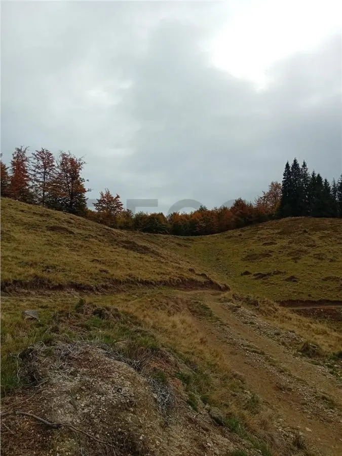 RECO Teren extravilan la Cresuia, Stana de Vale - foto 9