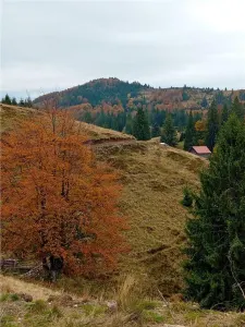RECO Teren extravilan la Cresuia, Stana de Vale - foto 10