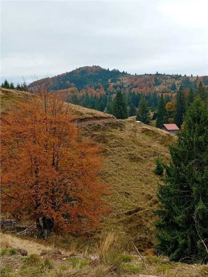 RECO Teren extravilan la Cresuia, Stana de Vale - foto 10