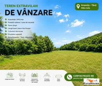 🌿 TEREN EXTRAVILAN DE VANZARE | PRETARE CABANE I AMPOIȚA  TĂUȚI | 3.453 MP | - Ampoita