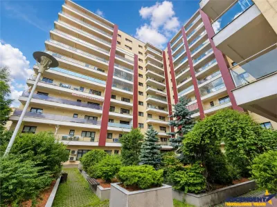 Prima inchiriere! Privilegio Brasov, 73 mp+ terasa, unic pe nivel, garaj, panorama Tampa - foto 2