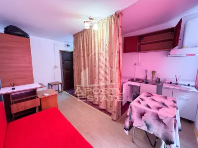 Garsoniera de vanzare,  Cheltuieli reduse, Zona Sagului , Timisoara - foto 2