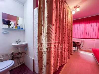 Garsoniera de vanzare,  Cheltuieli reduse, Zona Sagului , Timisoara - foto 4
