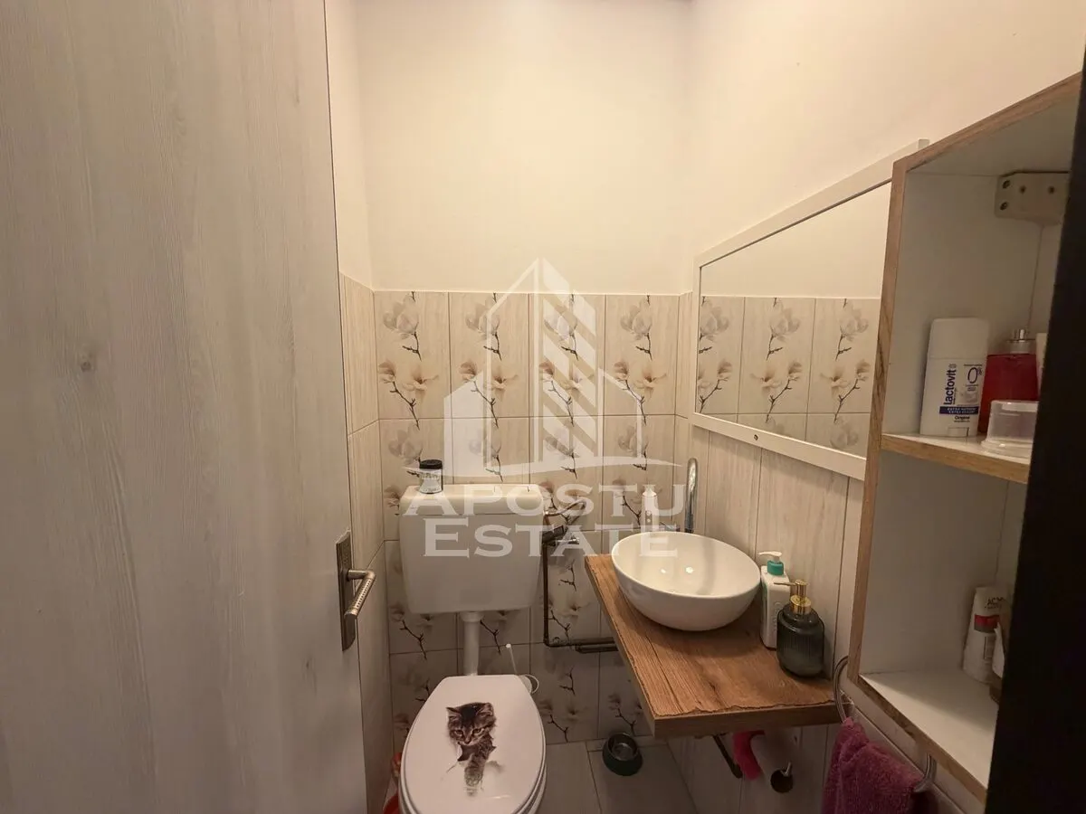 Apartament cu 3 camere de vanzare , etajul 2 , Zona Lipovei, Timisoara - foto 14