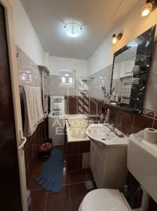 Apartament cu 3 camere de vanzare , Zona Dacia , Timisoara - foto 15