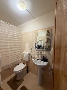 Apartament cu 2 camere de vanzare , Zona Lipovei, Timisoara - foto 10