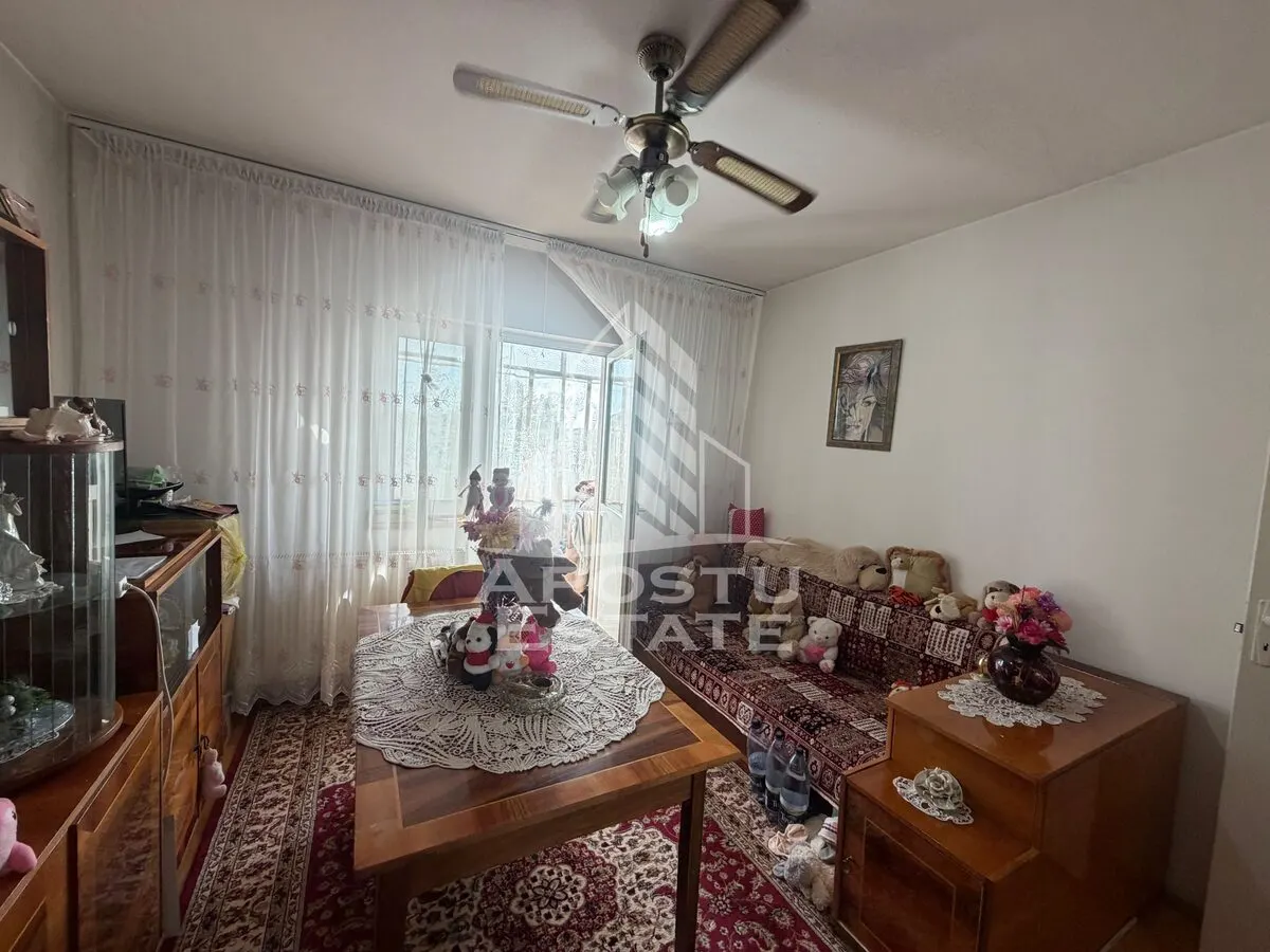 Apartament cu 2 camere de vanzare , Zona Lipovei , Timisoara - foto 4