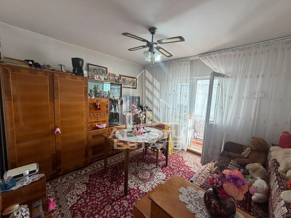 Apartament cu 2 camere de vanzare , Zona Lipovei , Timisoara - foto 5