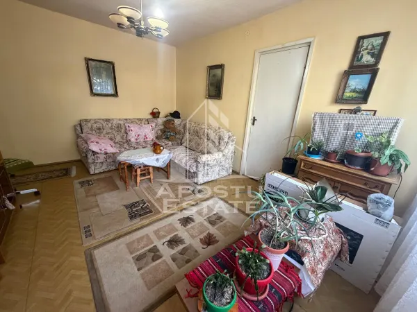 Apartament 3 camere Timișoara - poza 3