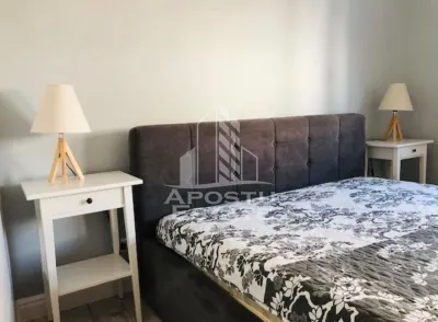 Apartament cu 3 camere de inchiriat , bloc nou , Dumbravita - foto 2