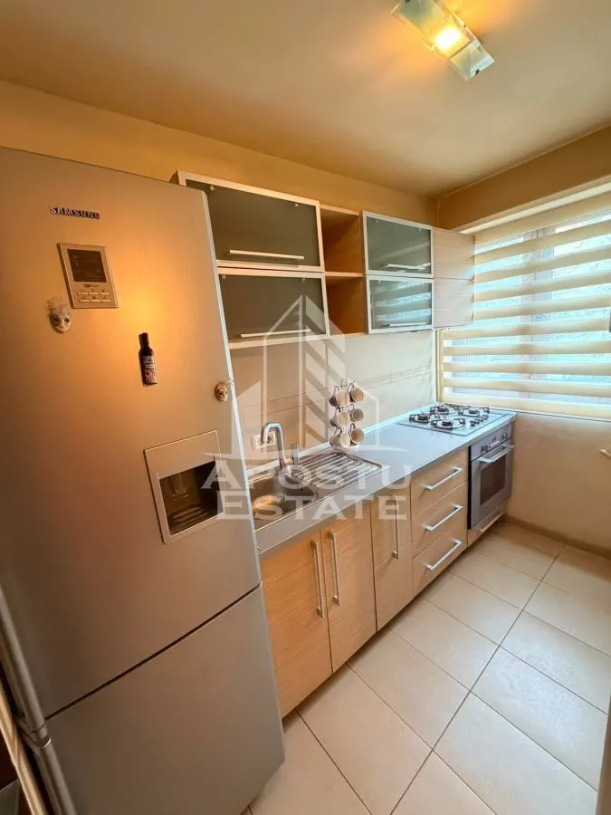 Apartament cu 3 camere de inchiriat, Take Ionescu , Timisoara - foto 8