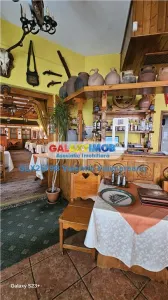 Restaurant Ultracentral COD 294 - Bucuresti