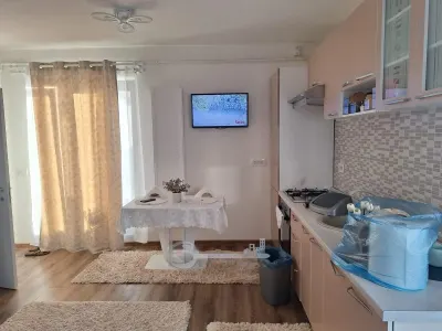 Penthouse cu terasă de 70 mp | 2 camere | Bloc nou | Nicolina â€“ CUG - foto 2