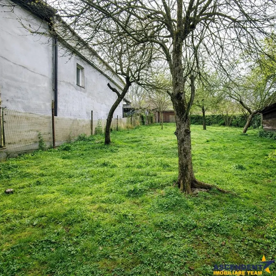 Casa cu 850 mp gradina, Centrul Istoric - Schei, Brasov - foto 7