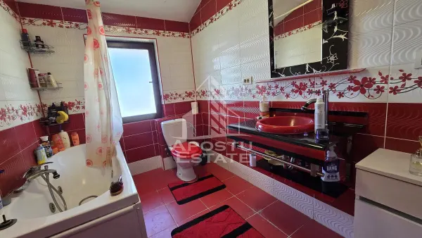 Casă 5 camere Padureni (Jebel) - poza 22